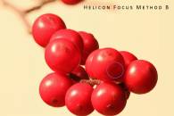 marked-hf-b-small