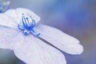 img_8503-edit