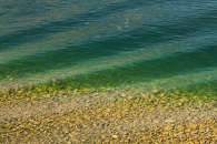 Ripples in Jenny Lake