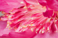 img_8099-edit