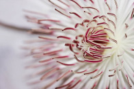 img_8122-edit
