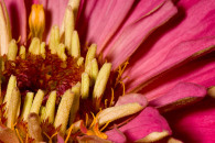 img_8144-edit