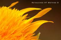 retouch-hf-method-b